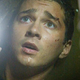 Image for article titled Shia LaBeouf